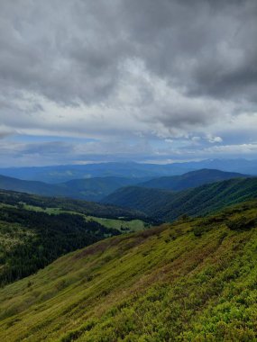 Güzel dağlar manzarası. Karpat Dağları. ukraine