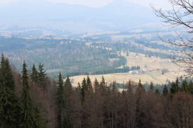 Sabahları Karpat dağlarına bakıyorum.