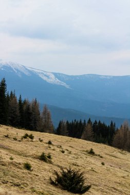 Dağlarda ilkbahar manzarası