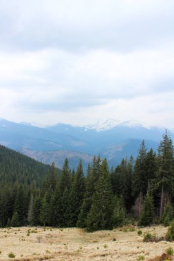 Karpat Dağları'nda güzel dağ manzarası