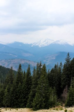 Karpatların güzel dağları, Ukrayna