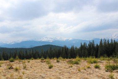 Mavi gökyüzü olan dağ manzarası