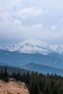 Arkasında güzel bir dağ sırası olan dağ ormanı manzarası.