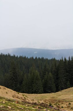 Dağların güzel manzarası