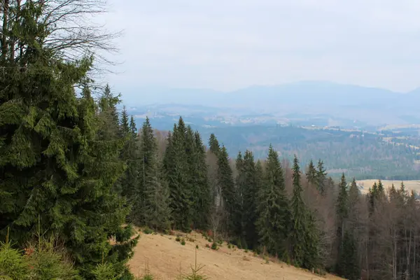 Karpatlar ve Ukrayna 'nın dağlarında manzara