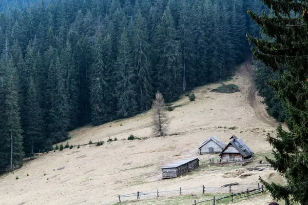 Karpat Dağları'nda ahşap ev