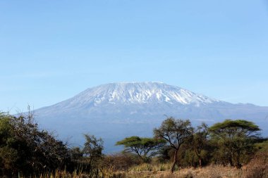Kilimanjaro Dağı manzarası. Amboseli, Kenya