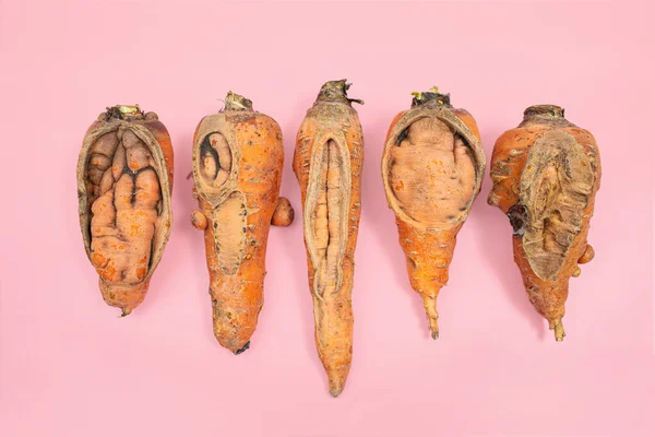 Set of ugly carrots on a pink background. The concept of ugly vegetables. Horizontal orientation, top view.