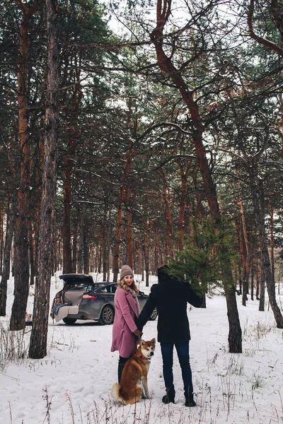 这家伙把圣诞树扛在肩上 女孩和狗在看着你 为新的一年作准备 — 图库照片