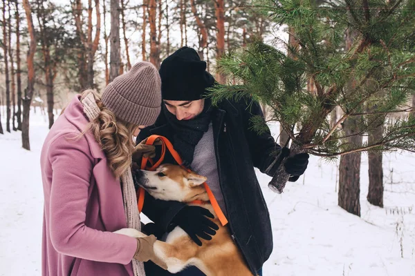 秋田的狗和主人在冬天的森林里玩耍 — 图库照片