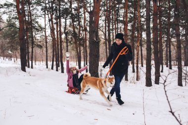 Kışın köpeği gezdiriyorum. Adam kızı ormanda kızağa bindiriyor..