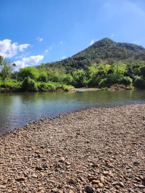 Kırsal kesimde yeşil sular ve taş zeminli akarsu.