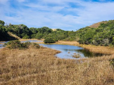 Güzel bir su kütlesi, düşük bitki örtüsü ve kum tepecikleri olan bir çevre rezervi.