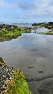 Güney Brezilya 'da bir sahildeki kayaların arasındaki okyanus suları