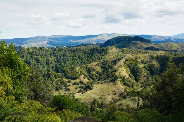 Typical rural scene near Hamilton in Waikato, North Island, New Zealand clipart