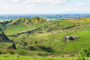 Typical rural scene near Hamilton in Waikato, North Island, New Zealand clipart