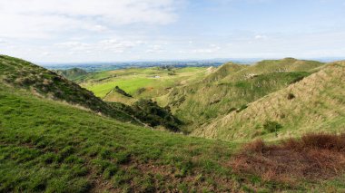 Kuzey Adası, Yeni Zelanda 'da Hamilton yakınlarındaki tipik kırsal manzara