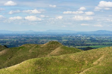 Typical rural scene near Hamilton in Waikato, North Island, New Zealand clipart