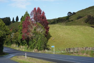 View of State Highway 4 in New Zealand. A rural highway between Te Kuiti and Whanganui clipart