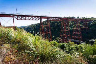 Makatote Viaduct, Kuzey Adası boyunca uzanan bir demiryolu köprüsü Yeni Zelanda 'daki Ana Sandık Demiryolu.