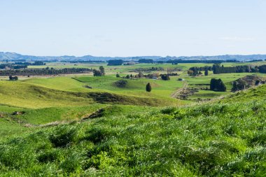 Ohakune, Yeni Zelanda yakınlarındaki Eski Koç Yolu bisiklet pistinden Manawatu çiftlik arazisi manzarası