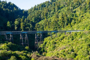 Hapuawhenua Viaduct, Ruapehu Bölgesi, Kuzey Adası, Yeni Zelanda 'da bir demiryolu viyadük.