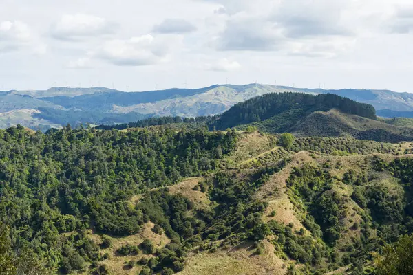 stock image Typical rural scene near Hamilton in Waikato, North Island, New Zealand