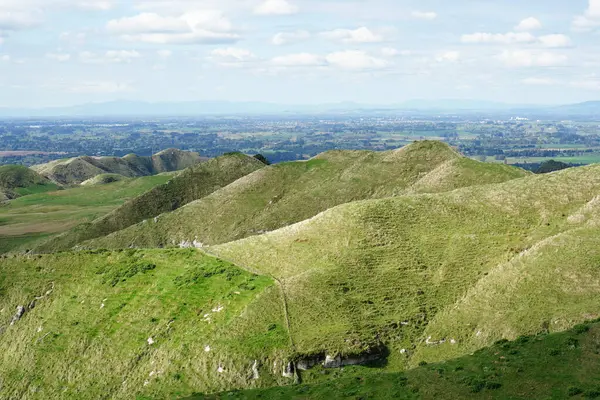 stock image Typical rural scene near Hamilton in Waikato, North Island, New Zealand