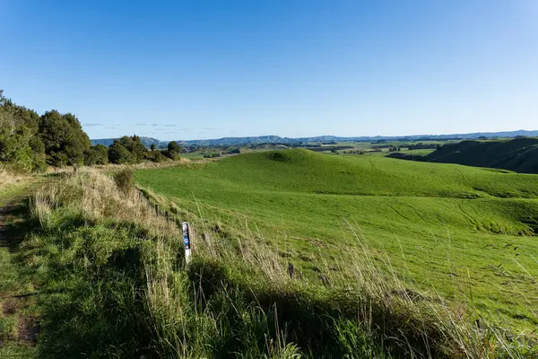 Yeni Zelanda 'nın Manawatu-Whanganui bölgesinde tarım arazisi