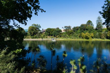 Waikato Nehri Yeni Zelanda, Hamilton şehir merkezinden akıyor.