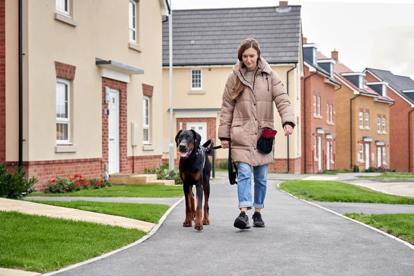 年轻的Doberman Pinscher小狗和主人在新的住宅区散步 — 图库照片
