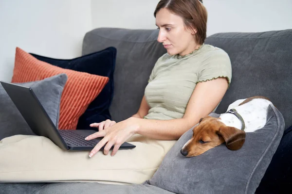 若いです女性座っていますソファに自宅作業上のラップトップコンピュータ上でペット犬とともに彼女の横に — ストック写真