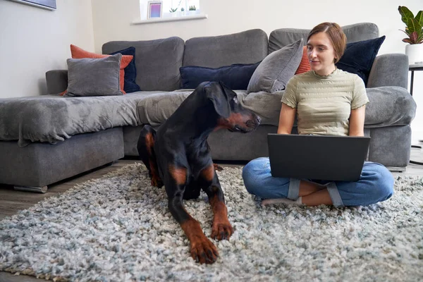 若いです女性座っています床にソファの前で自宅作業上のラップトップコンピュータ上でペット犬と一緒に彼女の横に — ストック写真
