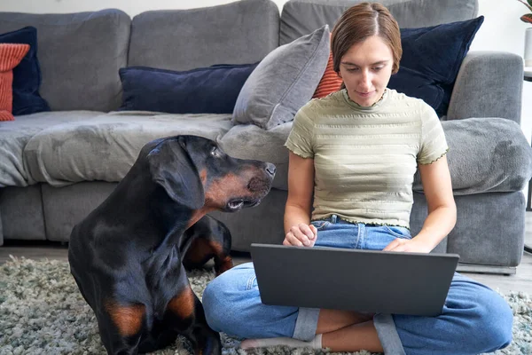 Jonge Vrouw Zit Vloer Voorkant Van Bank Thuis Werken Laptop — Stockfoto