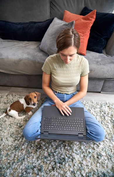 若いです女性座っています床にソファの前で自宅作業上のラップトップコンピュータ上でペット犬と一緒に彼女の横に — ストック写真