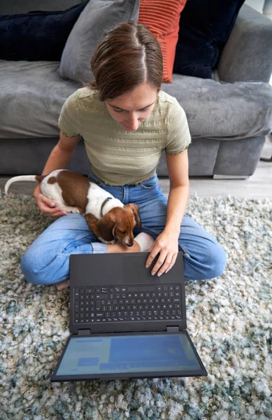 若いです女性座っています床の上にソファの前で自宅作業上のラップトップコンピュータ上でペット犬とともに彼女の膝 — ストック写真