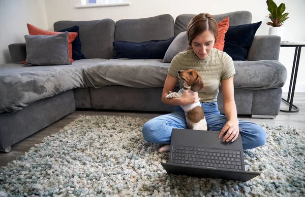 若いです女性座っています床の上にソファの前で自宅作業上のラップトップコンピュータ上でペット犬とともに彼女の膝 — ストック写真