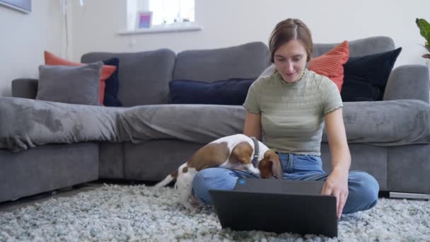 4K视频 年轻女子坐在沙发前的地板上 在家里的笔记本电脑上与宠物狗一起工作 — 图库视频影像