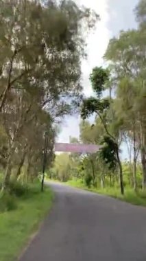 Parktaki yol. Doğa ile çevrili, berrak, parçalı bulutlu bir gökyüzünün altında, yemyeşil bir yol gezisine katıl..