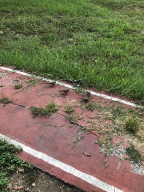 Doğa blogları, çevre kampanyaları, vahşi yaşam makaleleri veya kuş izleme faaliyetlerini destekleyen sosyal medya paylaşımları için uygun iki kuş kaldırımda.