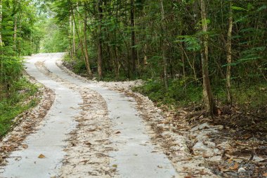 Arka planda birkaç ağaç olan toprak bir yol. Yol asfalt değil ve üzerinde bir sürü enkaz var.