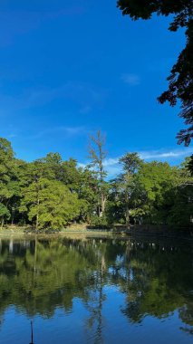 Sudaki küçük tekne, seyahat broşürleri, tatil beldeleri, deniz kenarı posterleri, deniz teması, sakin sahneler, rahatlama kavramları için uygun..