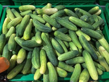 Yeşil marketteki taze salatalıklar. Gıda pazarı, sebze tezgahı, organik üretim, sağlıklı beslenme, market temaları için elverişli.