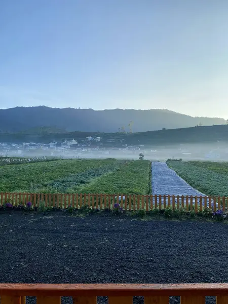 Yolun, çitin ve tarlanın puslu manzarası. Seyahat blogları, sosyal medya paylaşımları, kırsal manzaralar ve doğa temalı tasarımlar için elverişli.