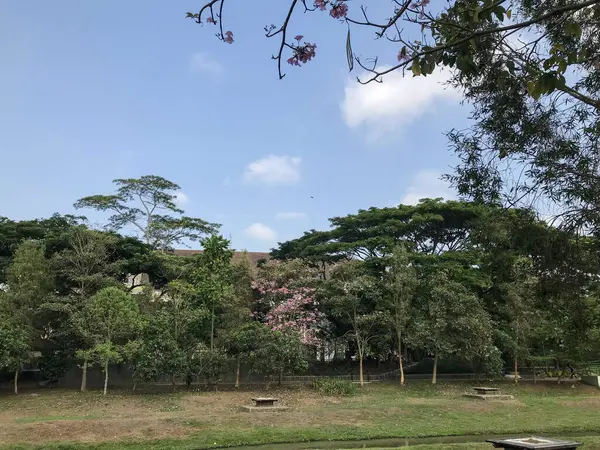 Otlak alanındaki bank, doğa temalı tasarımlar, açık hava reklamları, seyahat broşürleri, park promosyonları ve rahatlama temalı web siteleri için ideal..