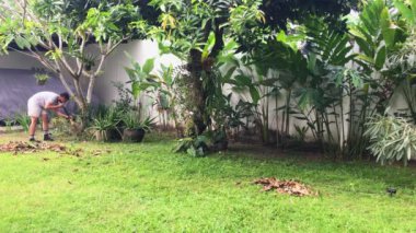 Ev sahibi arka bahçeyi tarıyor. Bir ev sahibi bahçesini özenle süpürür, temiz ve davetkar bir açık alan için yaprakları ve enkazı temizler.