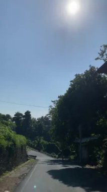 Tropikal Orman 'da dolambaçlı yol. Bereketli tropikal bir ormanın içinden geçen dolambaçlı bir yol. Güneş tepemizde parıldıyor..