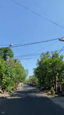 Endonezya, Bali 'de Suburban Caddesi. Endonezya, Bali 'de sakin bir yerleşim yeri. Açık mavi gökyüzünün altında ağaçlar ve elektrik hatlarıyla kaplı..