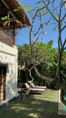 Havuz kenarındaki şezlonglu Tranquil Balili Villa. Serene Balili villa sazdan çatı, dinlenme yerleri ile taş teras ve yemyeşil yemyeşil.