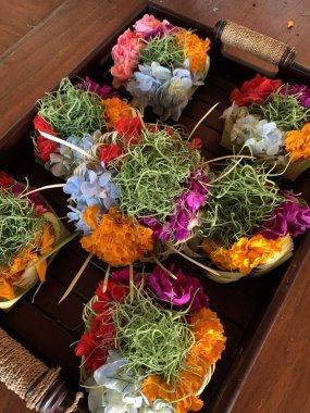 Renkli Bali adakları düzenleyen eller. Ahşap tepside çiçek ve yapraklardan yapılmış renkli Bali Hindu adakları düzenleyen bir kişinin eli.